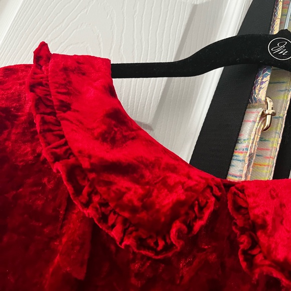 ModCloth 3X crushed velvet ruffle top - Picture 4 of 5